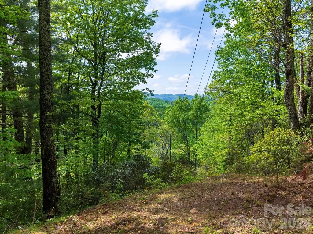 209 Ivy Hill Road Hendersonville NC 28792