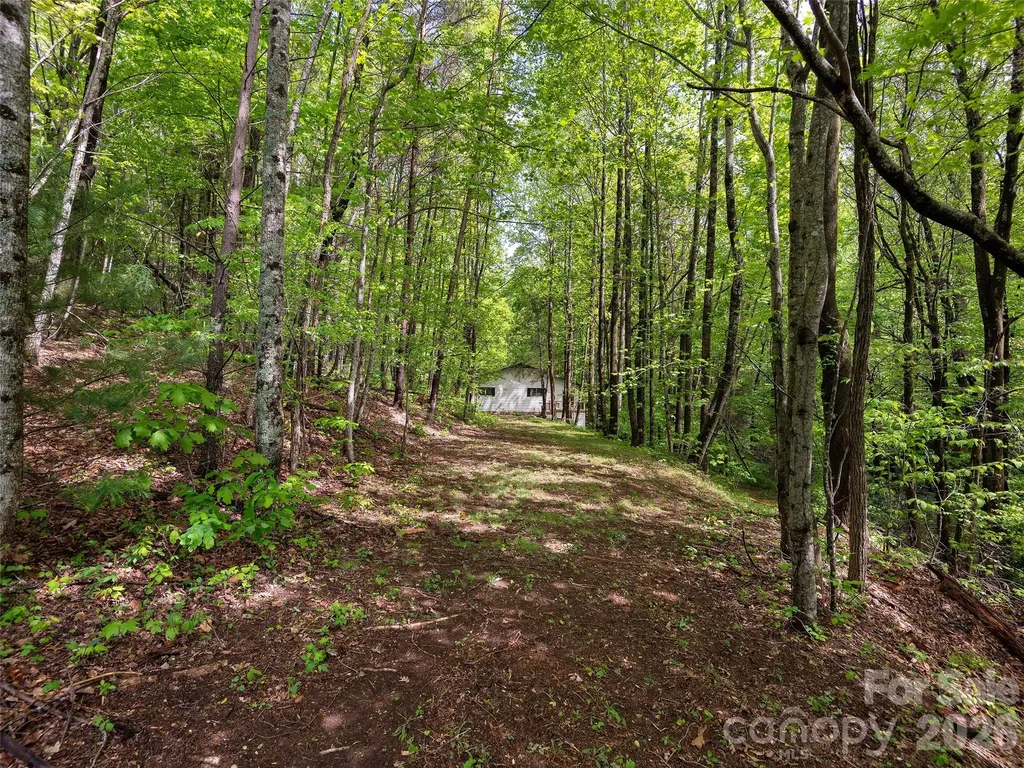209 Ivy Hill Road Hendersonville NC 28792