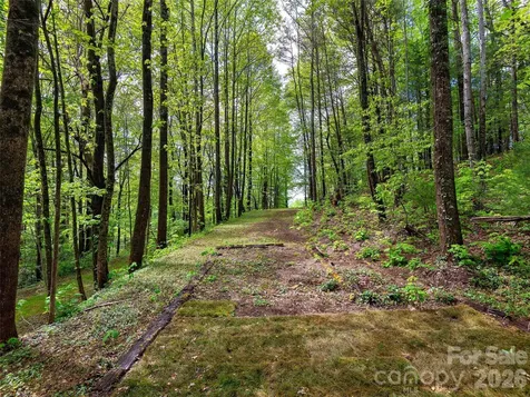 209 Ivy Hill Road Hendersonville NC 28792