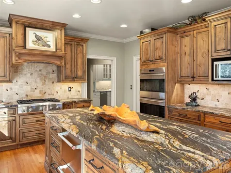701 Baneberry Court Asheville NC 28803