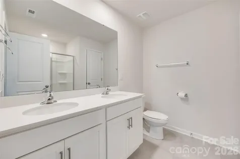 3513 Sycamore Crossing Court Mount Holly NC 28120