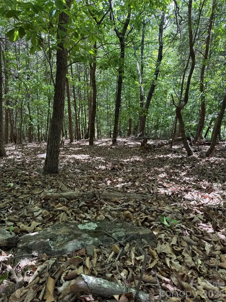 11 Summit Parkway Bostic NC 28018