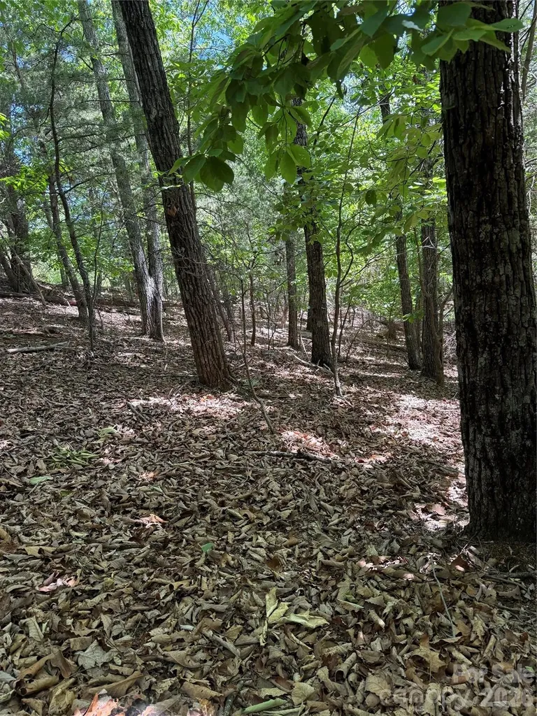 11 Summit Parkway Bostic NC 28018