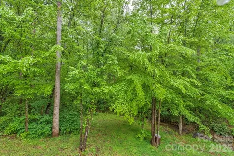 38 Macey Drive Nebo NC 28761
