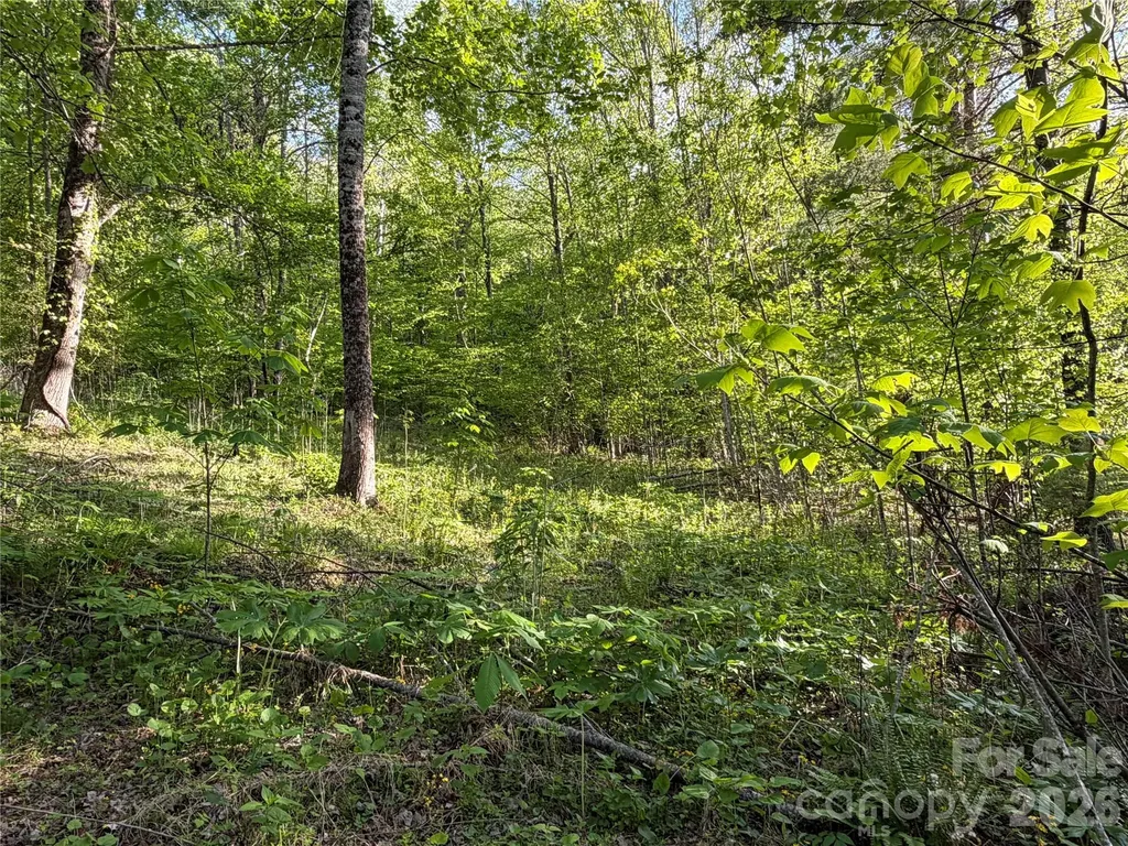 00000 Apple Farm Road Bakersville NC 28705