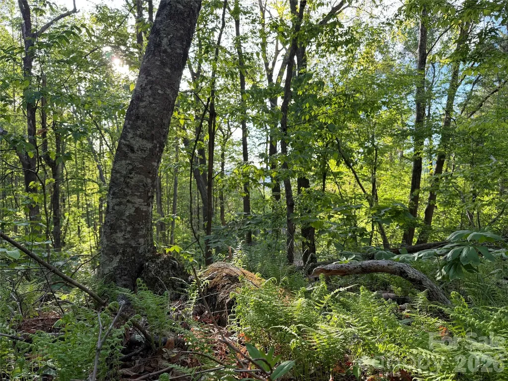 00000 Apple Farm Road Bakersville NC 28705