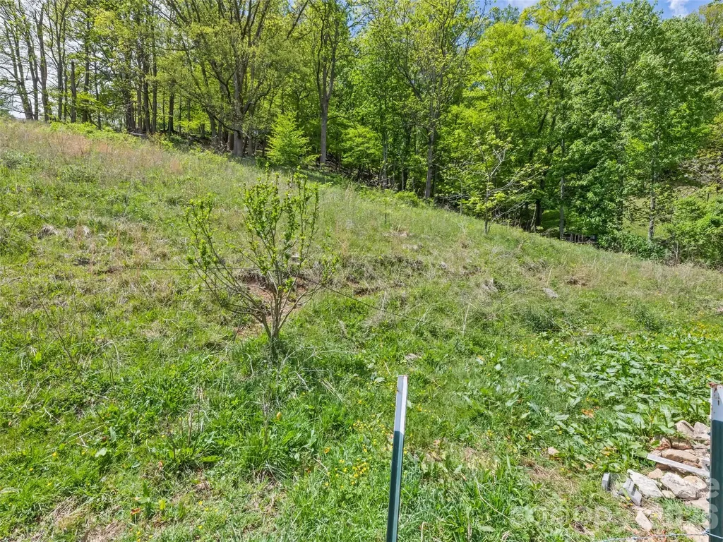 3607 Max Patch Road Clyde NC 28721