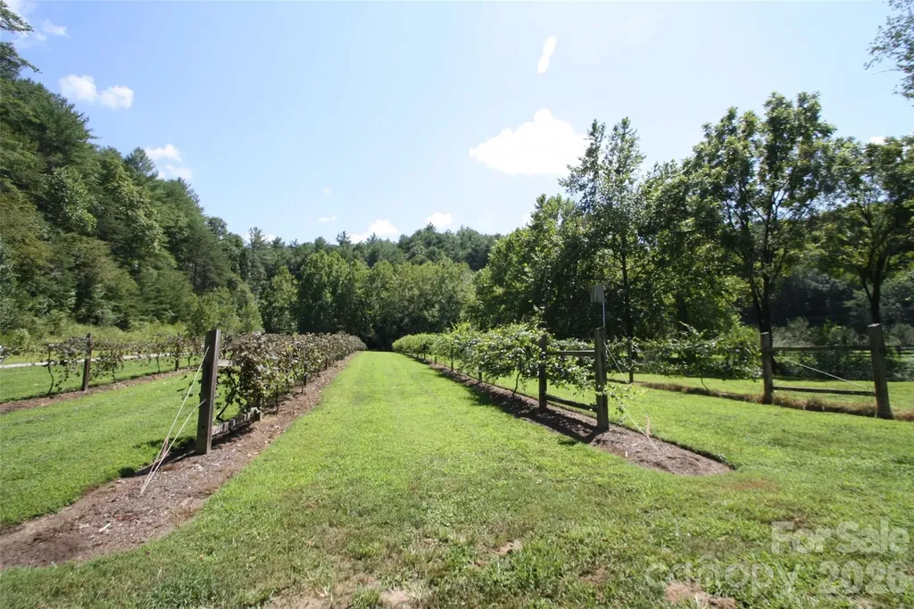 Tbd Poplar Bluff Drive Lenoir NC 28645