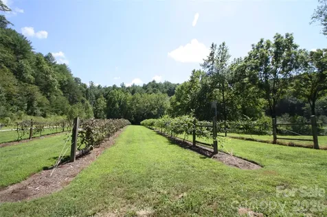 Tbd Poplar Bluff Drive Lenoir NC 28645