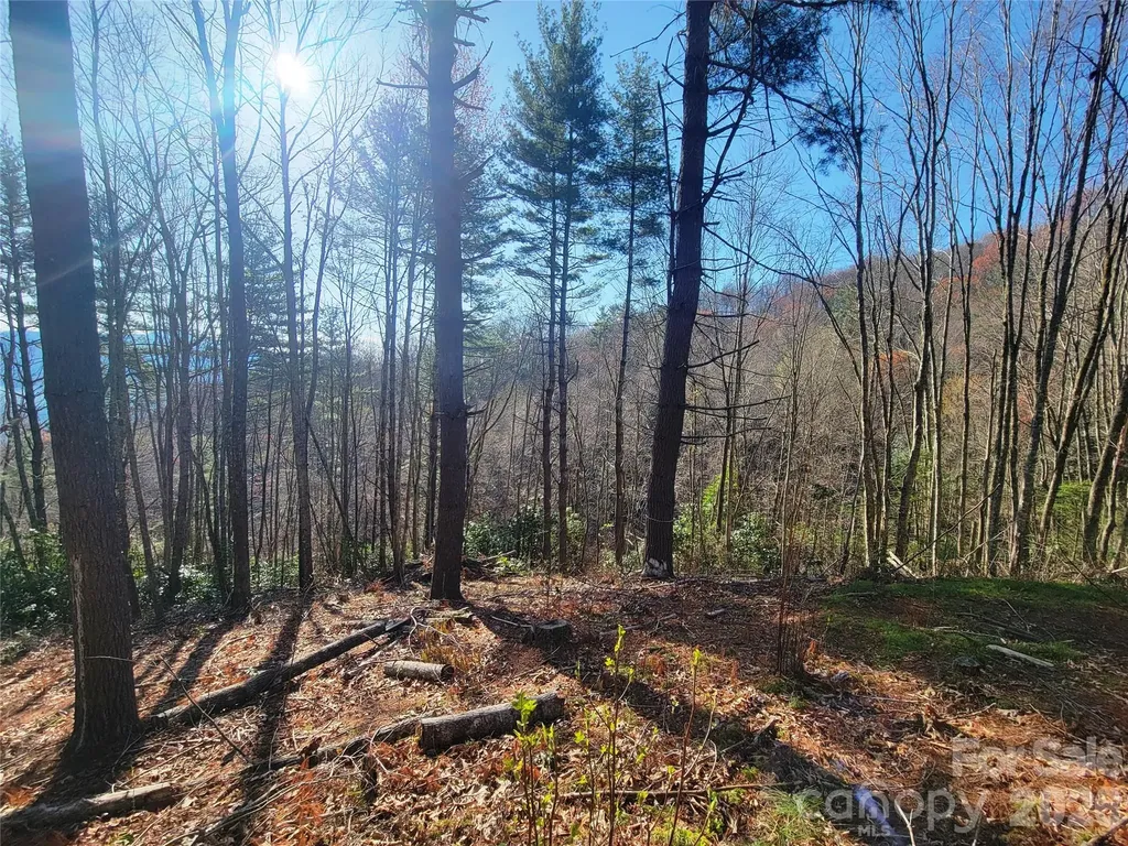 111 Digging Seng Trail Waynesville NC 28785