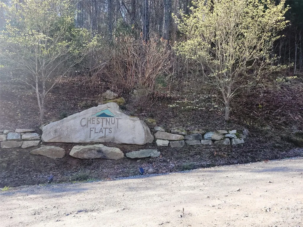 111 Digging Seng Trail Waynesville NC 28785