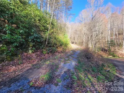 111 Digging Seng Trail Waynesville NC 28785