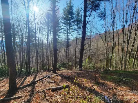 111 Digging Seng Trail Waynesville NC 28785