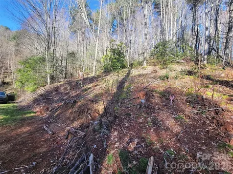 111 Digging Seng Trail Waynesville NC 28785