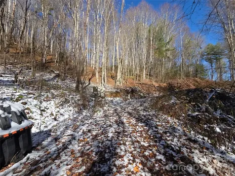 111 Digging Seng Trail Waynesville NC 28785
