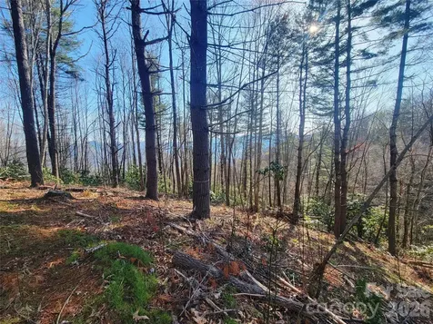 111 Digging Seng Trail Waynesville NC 28785