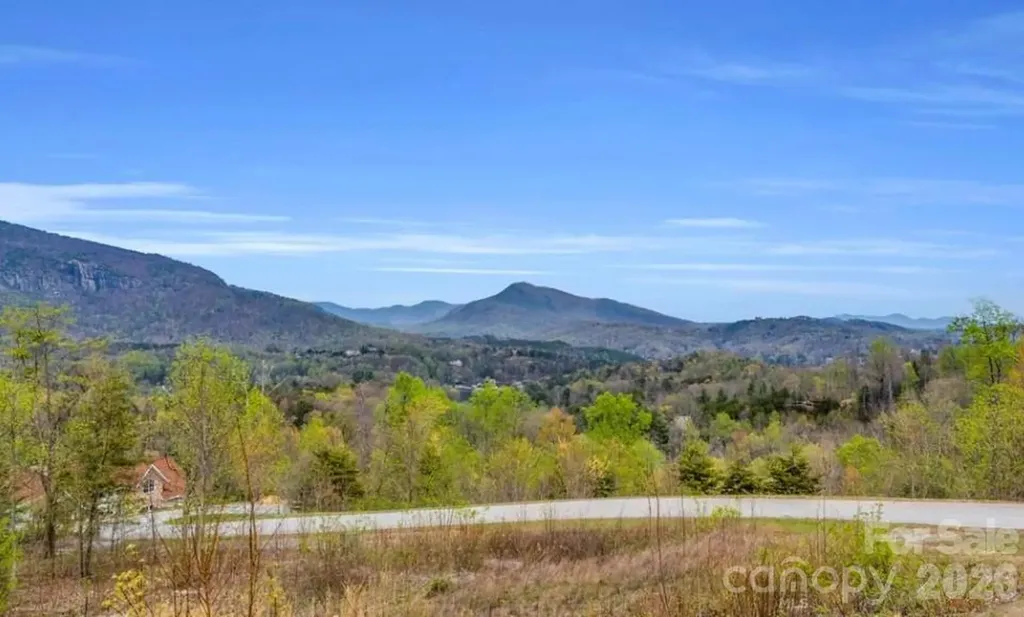 0 Clear Creek Trail Lake Lure NC 28746