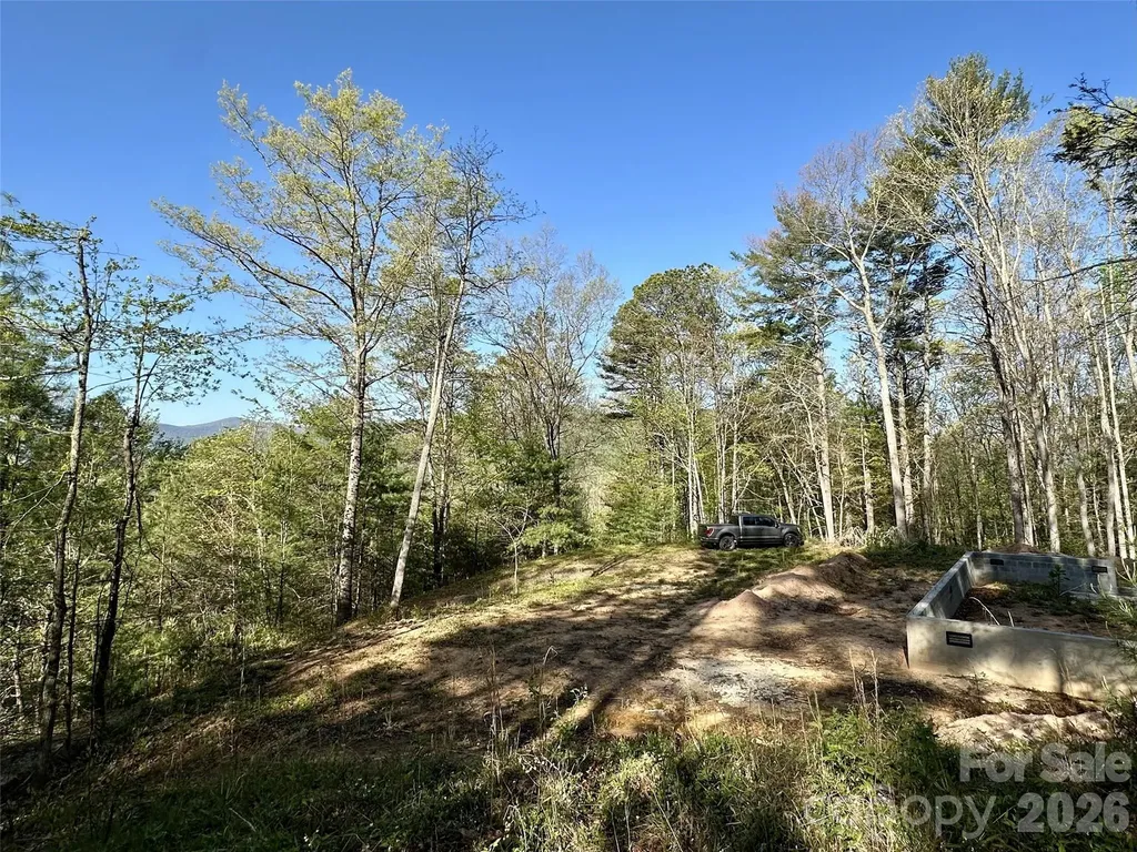 454 Dream Valley Drive Clyde NC 28721