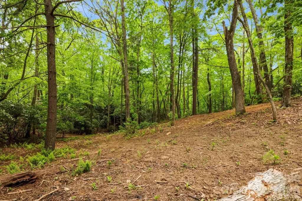 137 Bird Song Road Penrose NC 28766