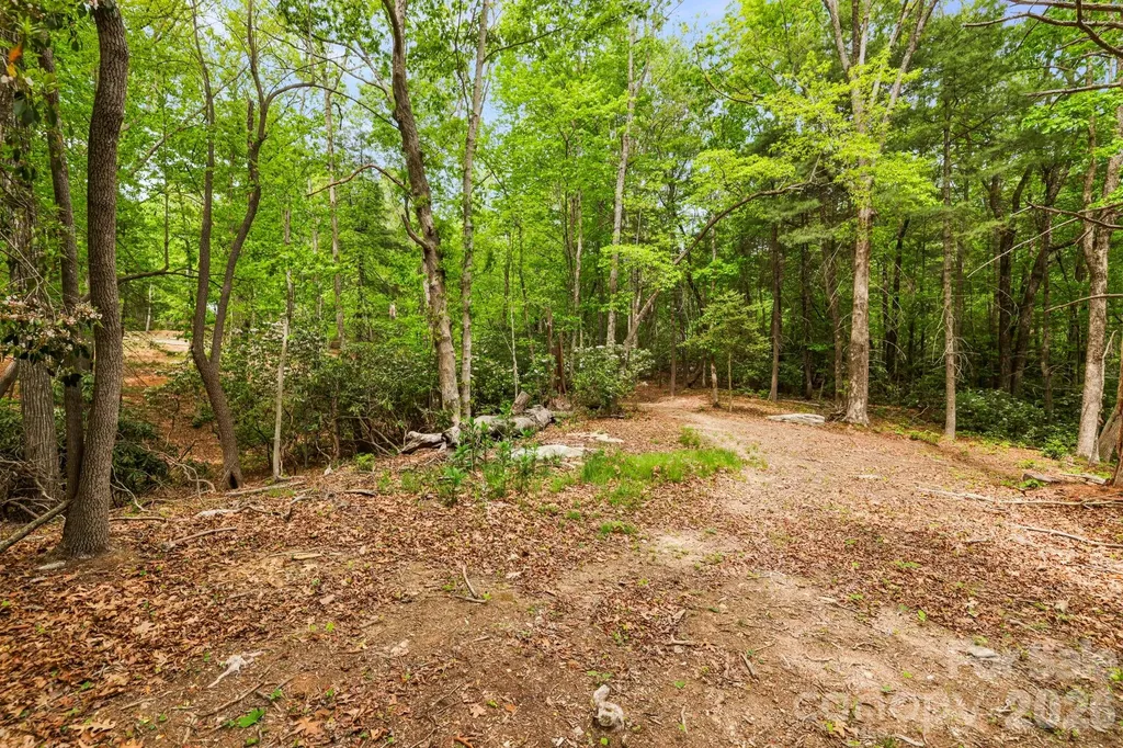 137 Bird Song Road Penrose NC 28766