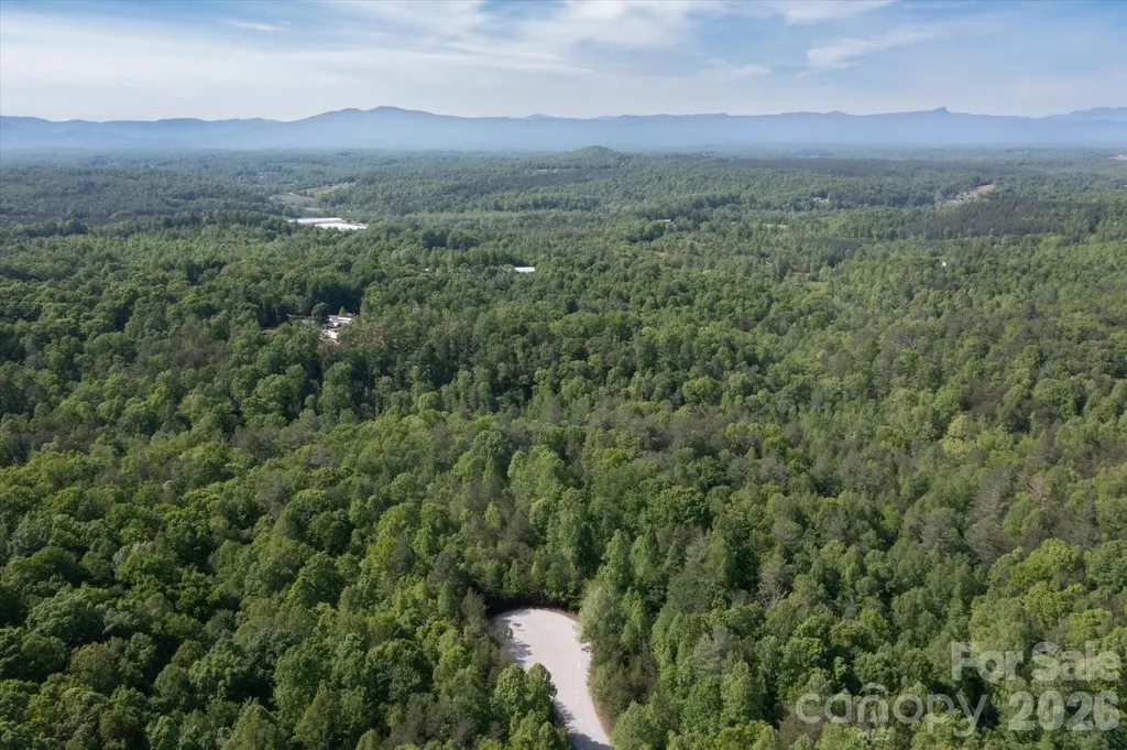 54 Perennial Drive Nebo NC 28761
