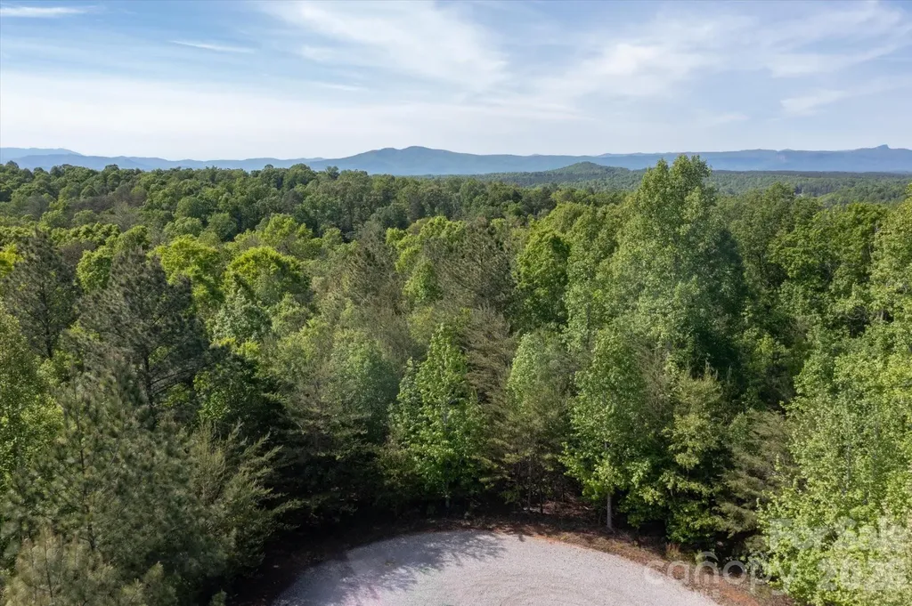 54 Perennial Drive Nebo NC 28761
