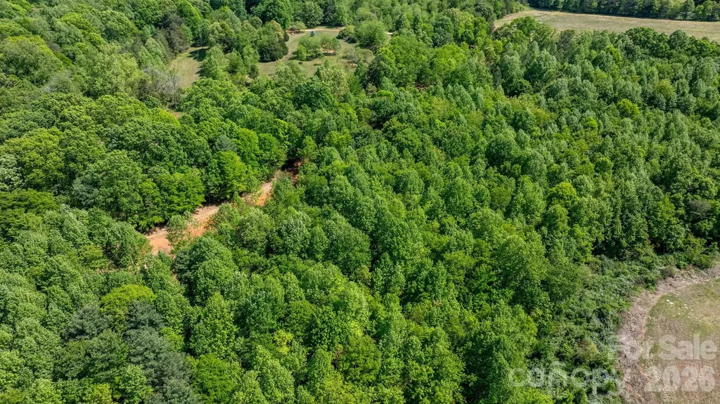 173 Long Leaf Pine Drive Hiddenite NC 28636