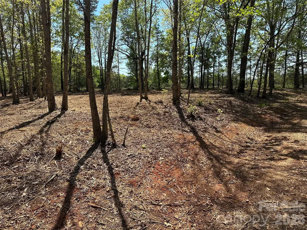173 Long Leaf Pine Drive Hiddenite NC 28636