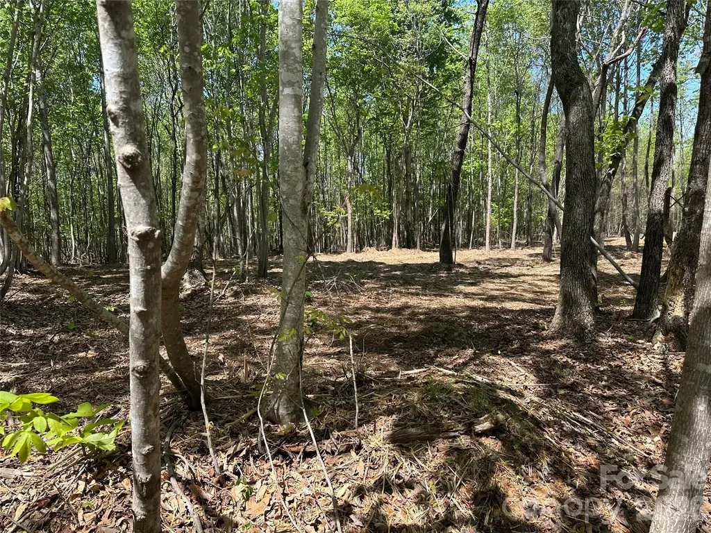 173 Long Leaf Pine Drive Hiddenite NC 28636