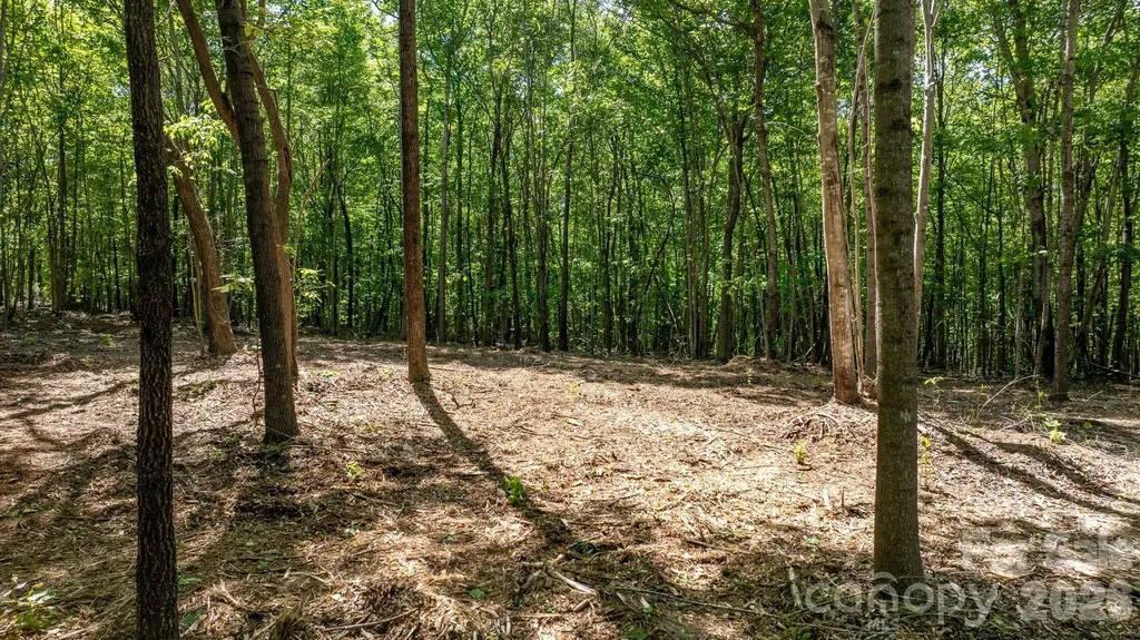 173 Long Leaf Pine Drive Hiddenite NC 28636