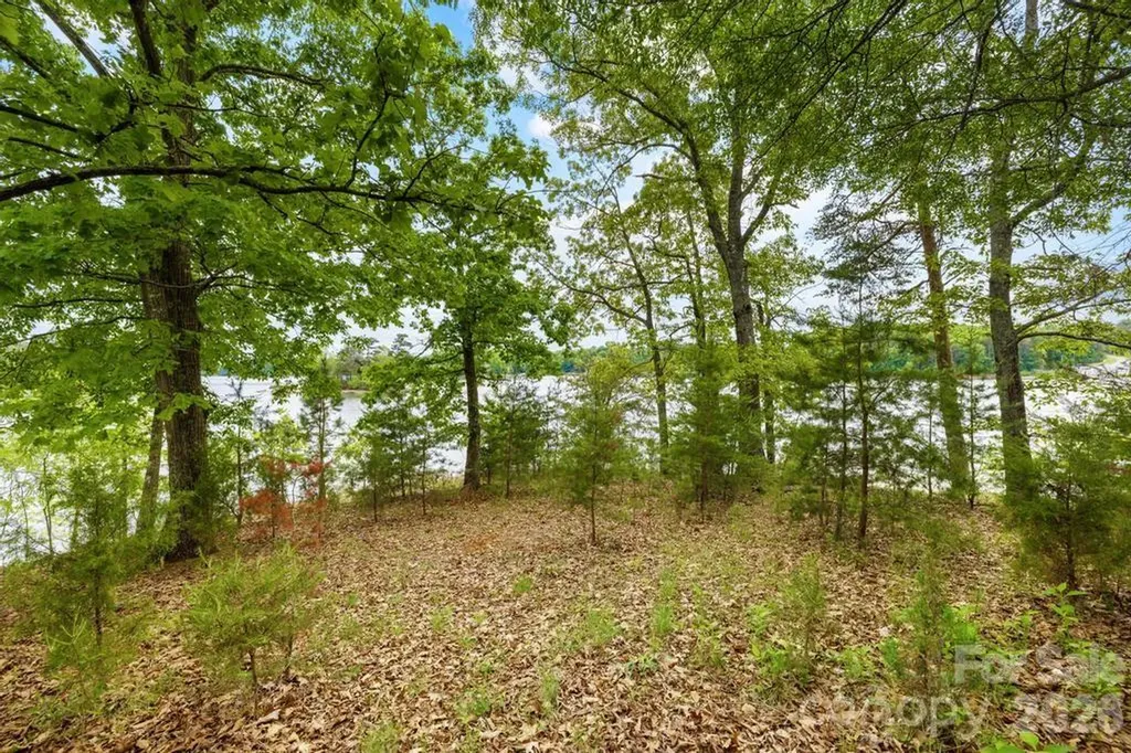 265 S Harbor Watch Drive Statesville NC 28677