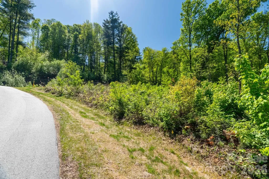 33 Bent Branch Lane Asheville NC 28804