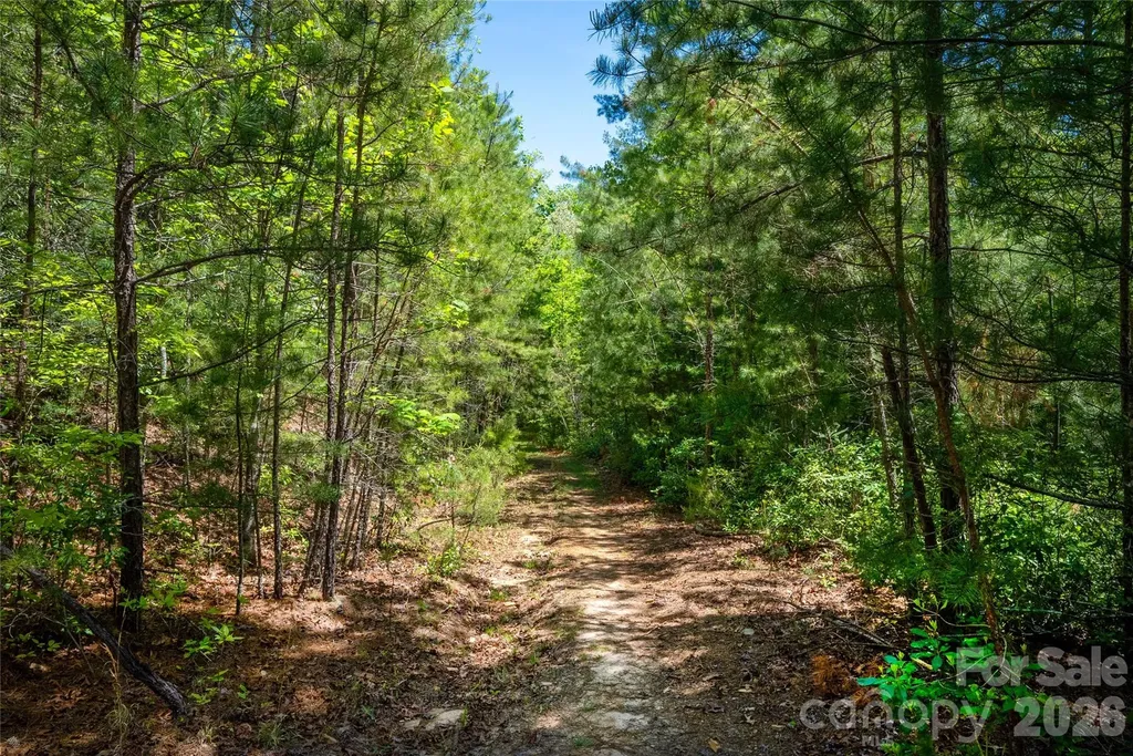 Tbd Springhouse Trail Brevard NC 28712