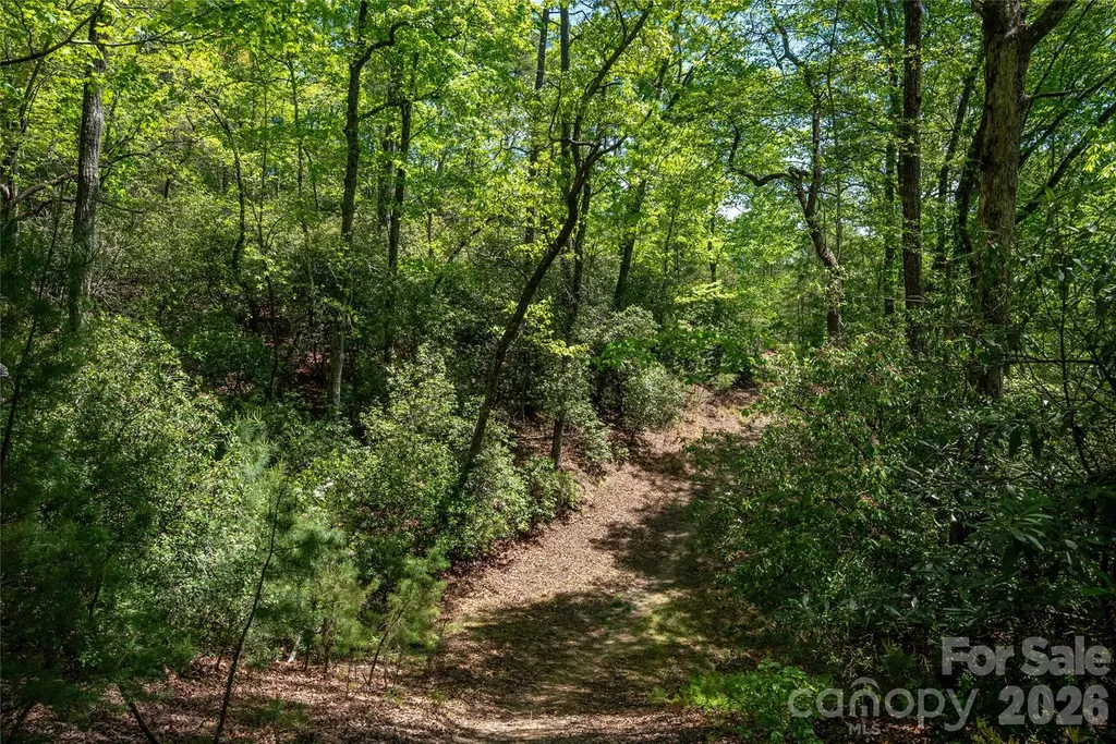 Tbd Springhouse Trail Brevard NC 28712