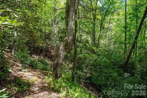 Tbd Springhouse Trail Brevard NC 28712
