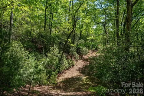 Tbd Springhouse Trail Brevard NC 28712