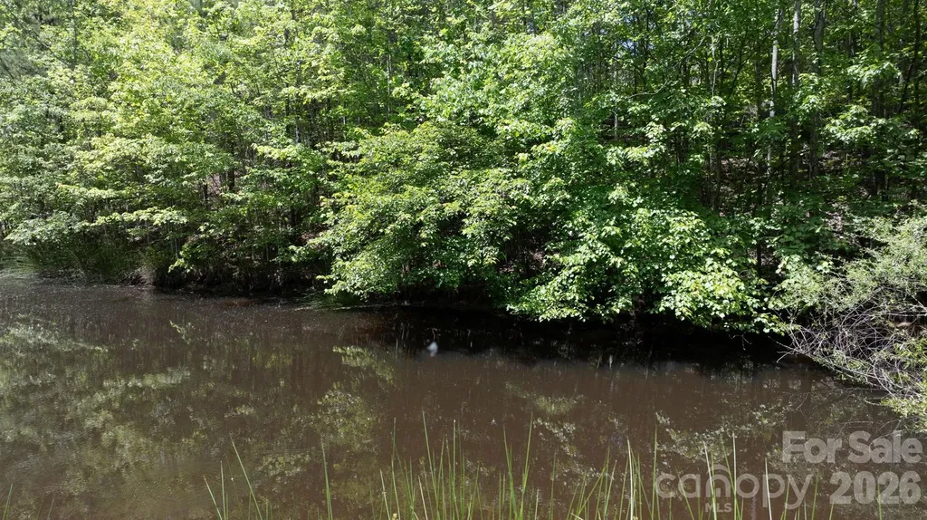 7008 Peyronel Street Connelly Springs NC 28612