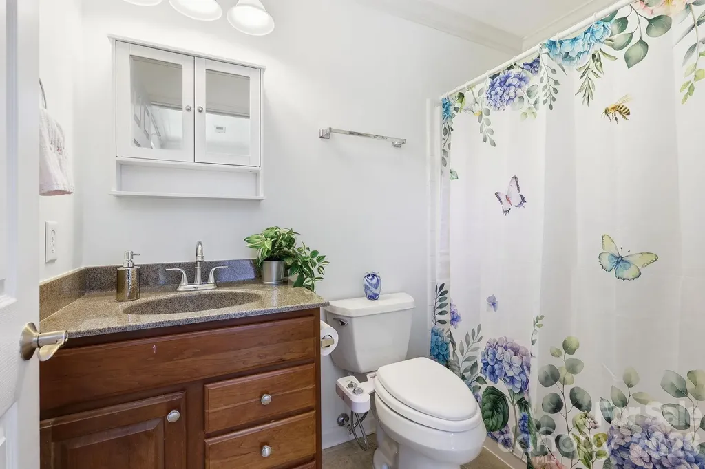 5 Terrace Court Asheville NC 28804