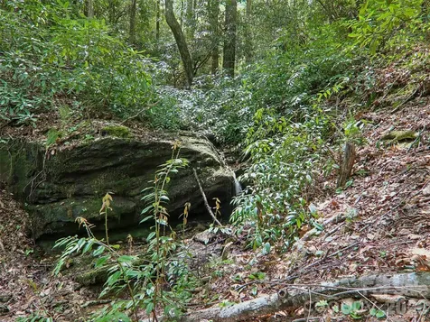 554 Pisgah Forest Drive Pisgah Forest NC 28768
