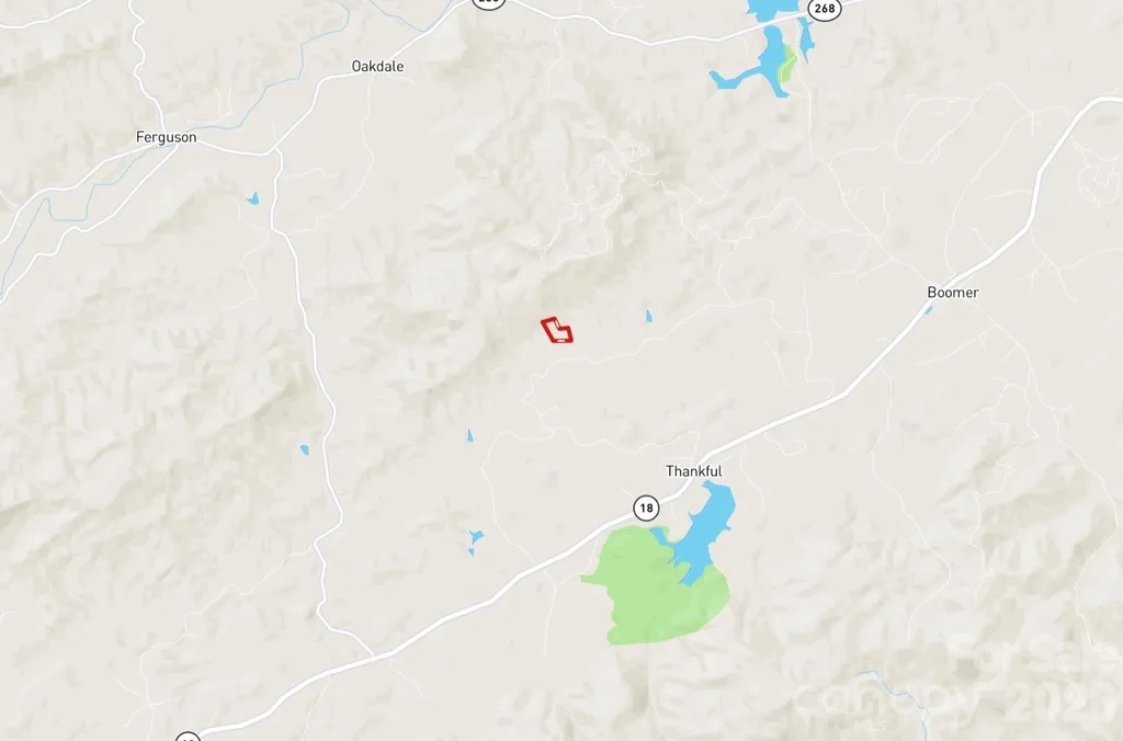 3024 Pearson Mountain Road Boomer NC 28606
