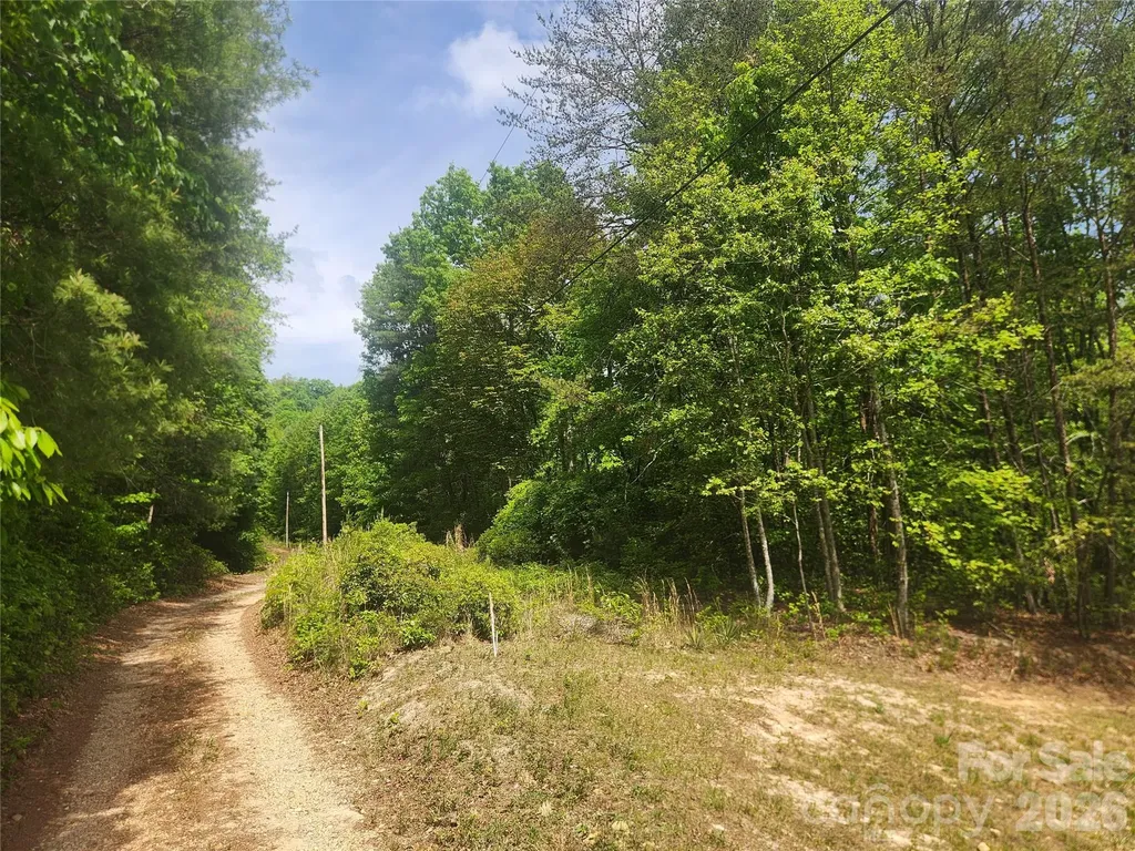 3024 Pearson Mountain Road Boomer NC 28606