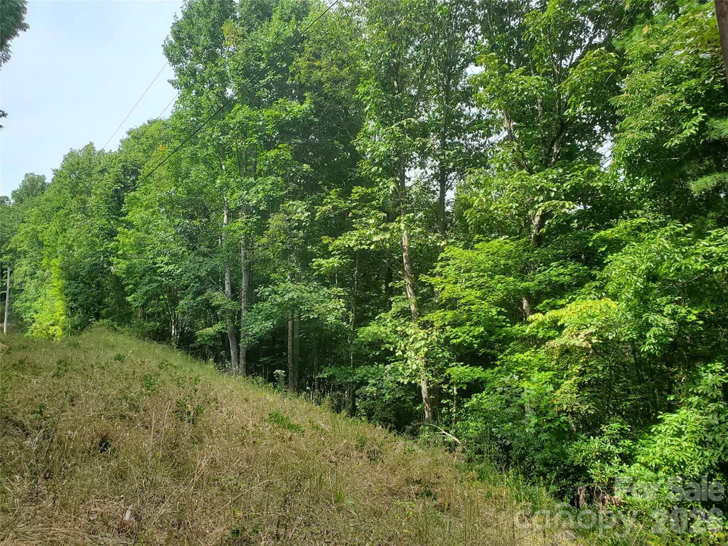 3024 Pearson Mountain Road Boomer NC 28606