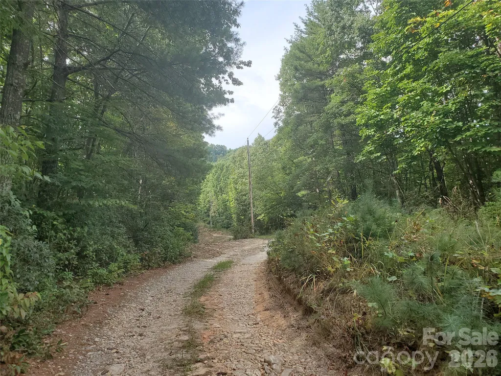 3024 Pearson Mountain Road Boomer NC 28606