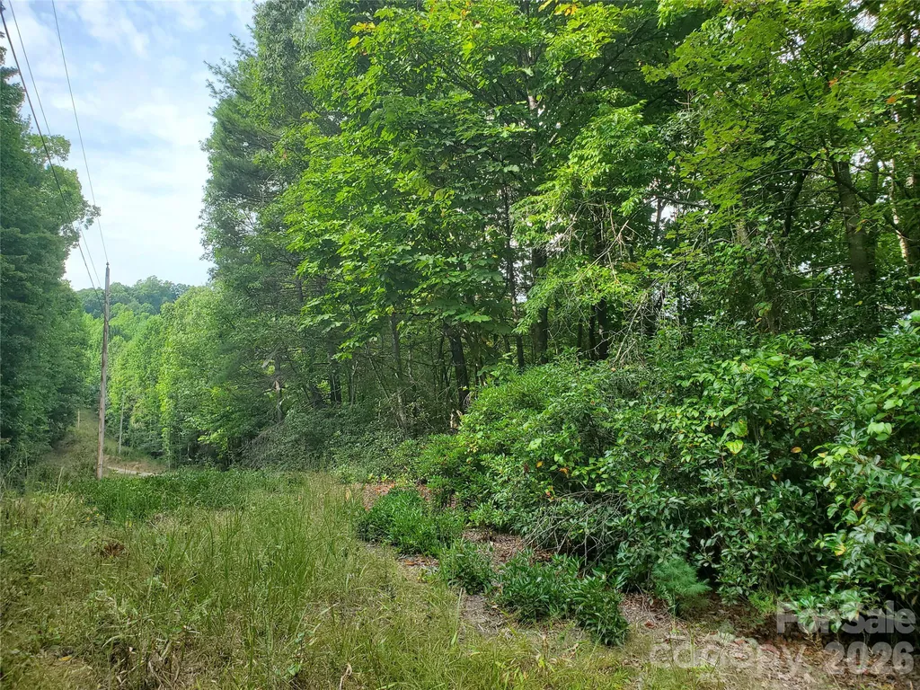 3024 Pearson Mountain Road Boomer NC 28606