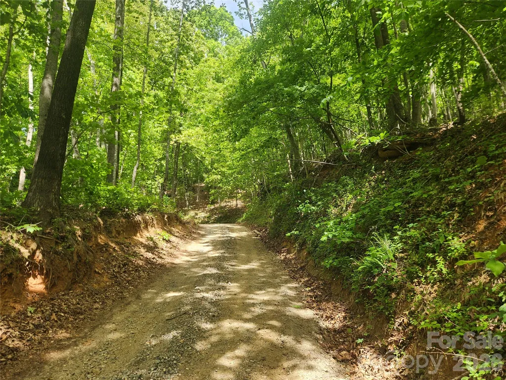 3024 Pearson Mountain Road Boomer NC 28606