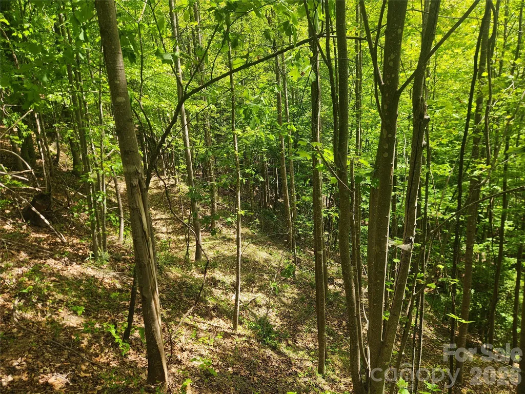 3024 Pearson Mountain Road Boomer NC 28606