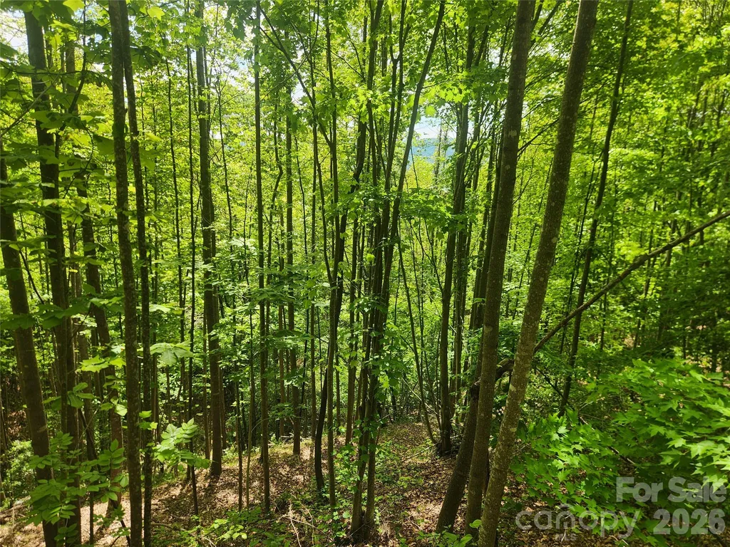 3024 Pearson Mountain Road Boomer NC 28606