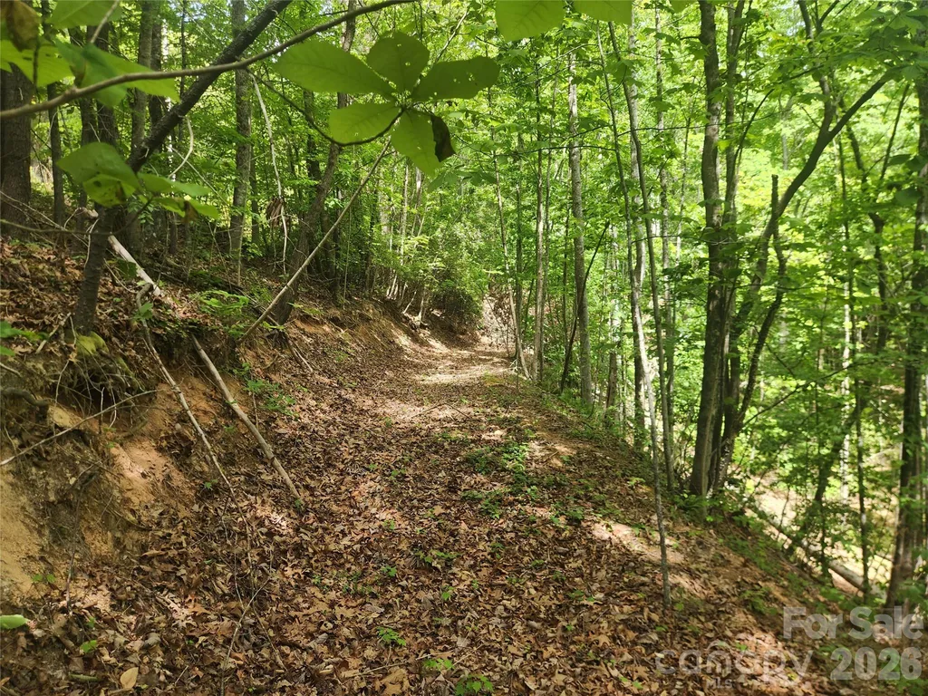 3024 Pearson Mountain Road Boomer NC 28606