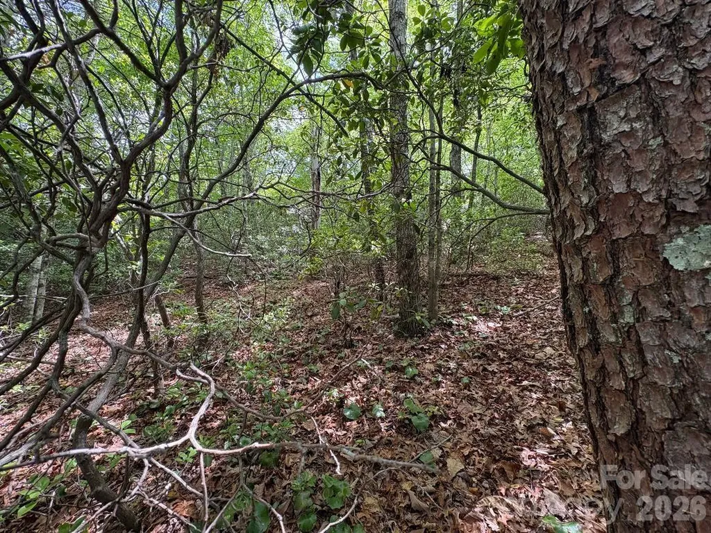 Lot 51b Wilderness Drive Marion NC 28752