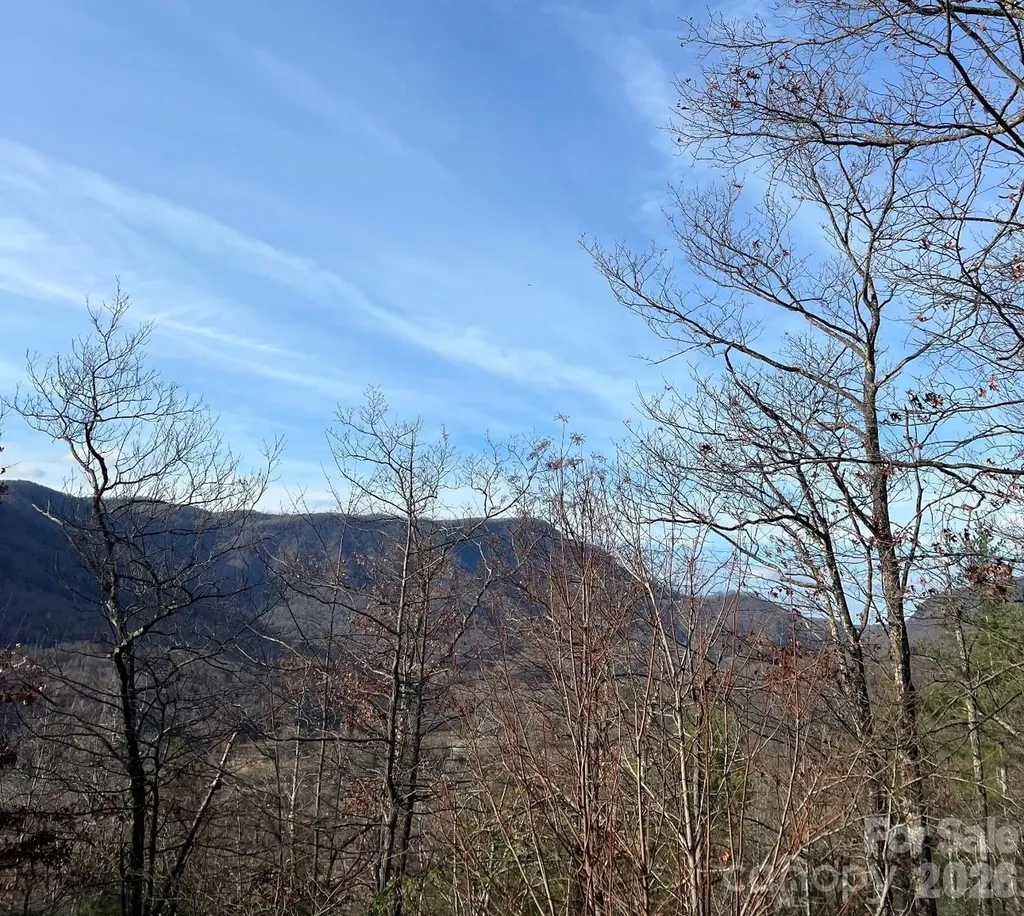 Lot 51b Wilderness Drive Marion NC 28752